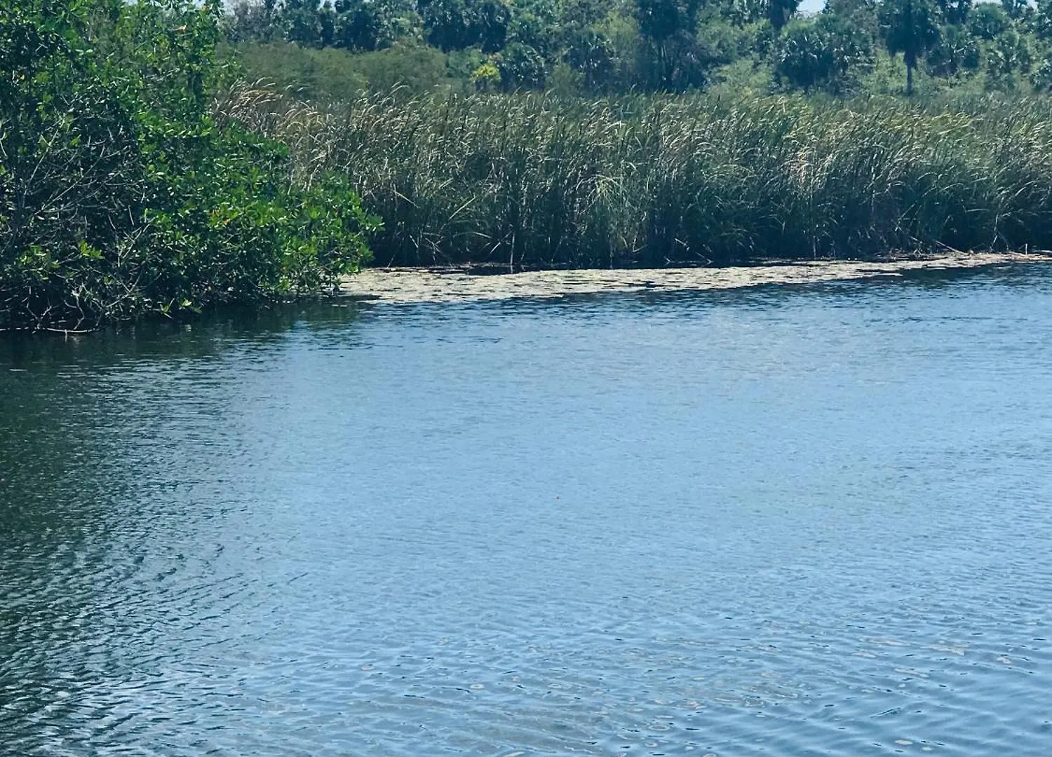 Love On The Ocean Black River Homestay