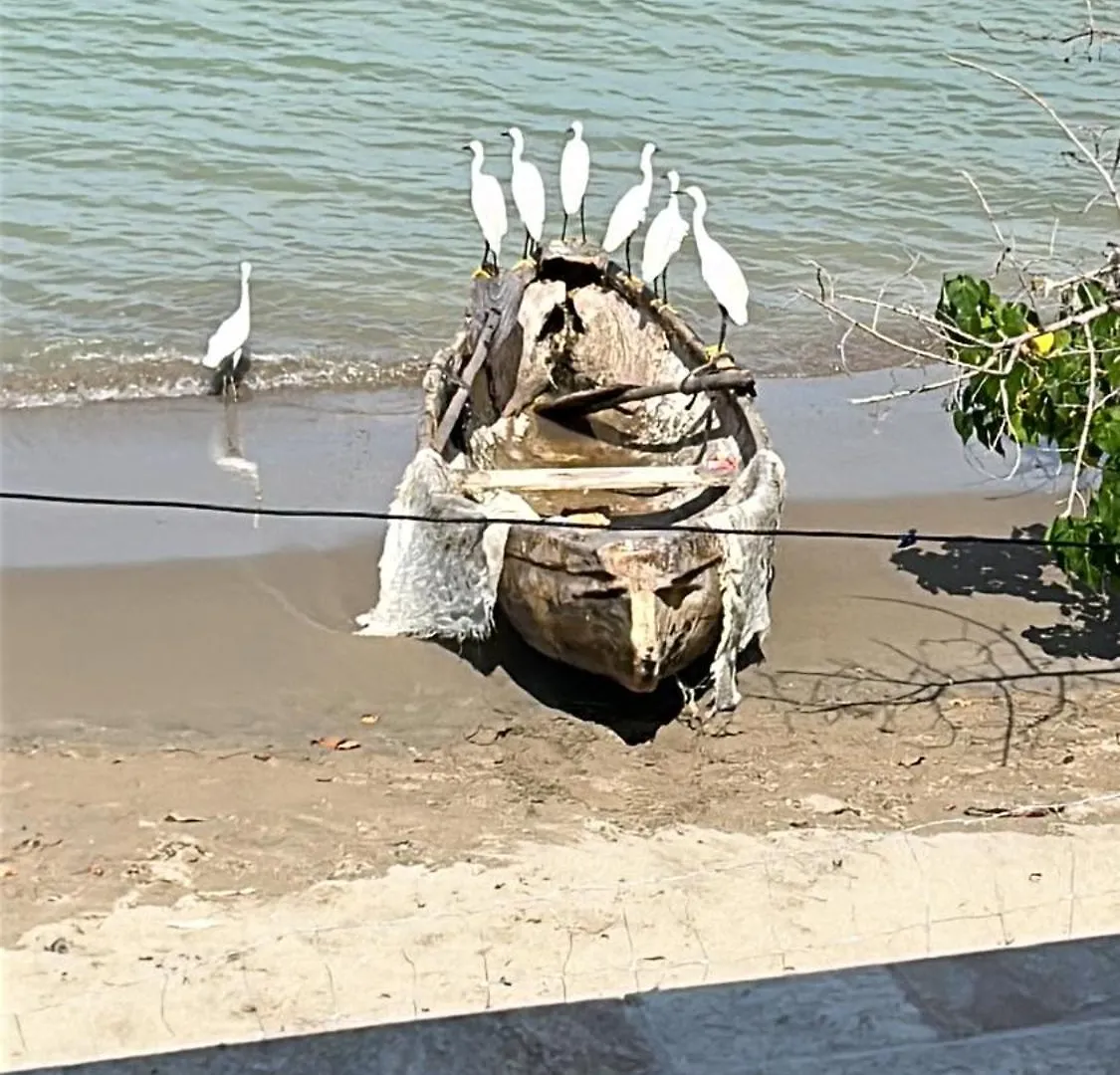 Homestay Love On The Ocean Black River Jamaica