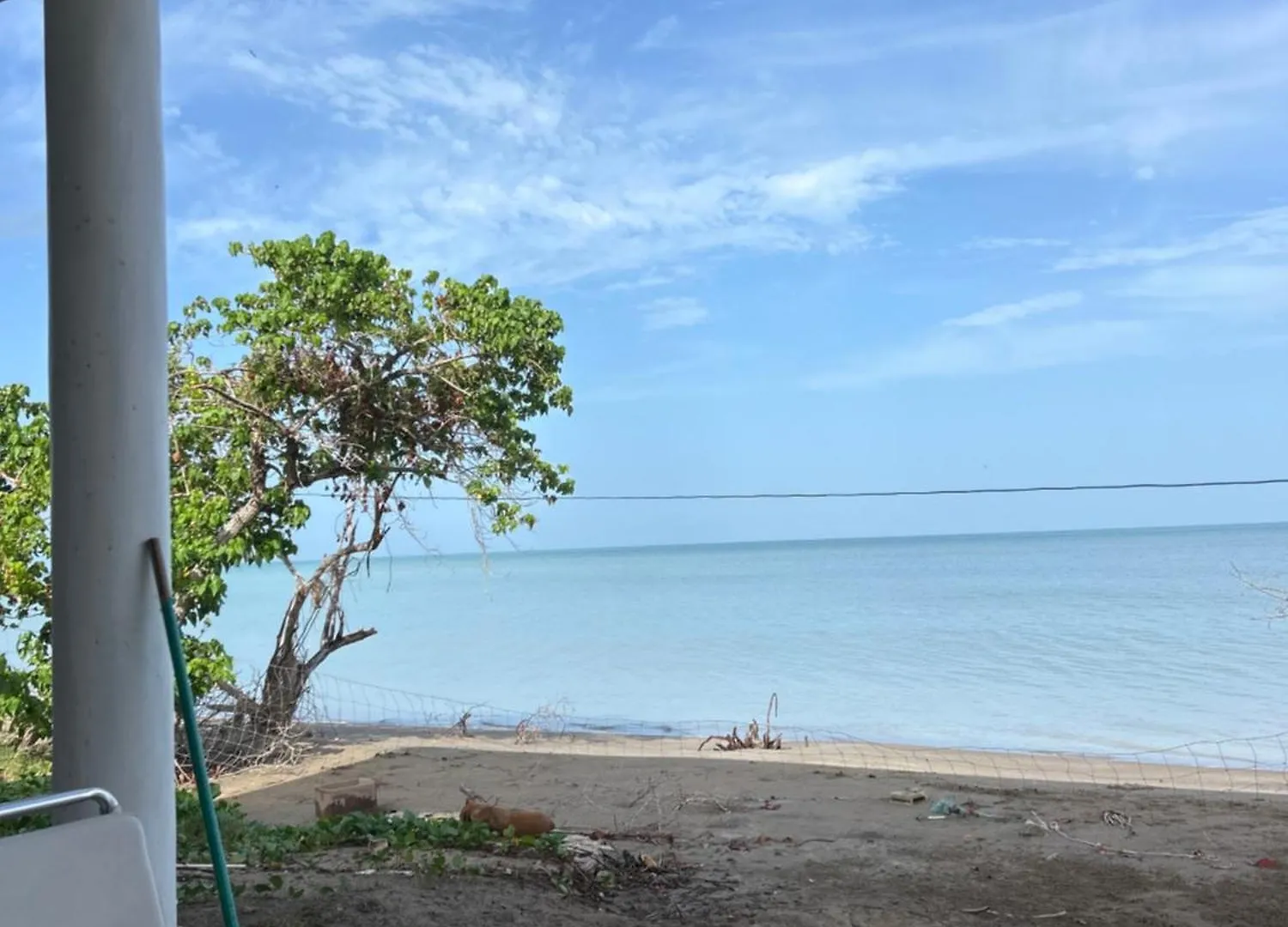 Love On The Ocean Black River Homestay